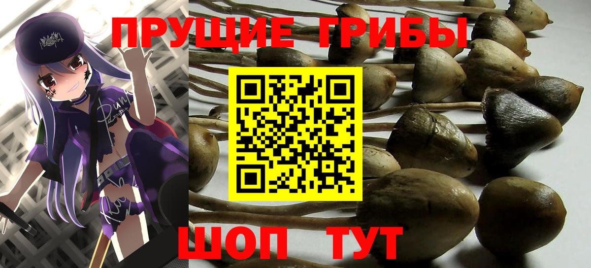 Псилоцибиновые грибы ЛСД  Вход с VPN  Галлюциногенные грибы Magic Shrooms  где купить наркотик  Кириши 