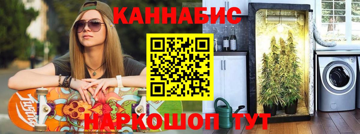Бошки марихуана Amnesia Кириши
